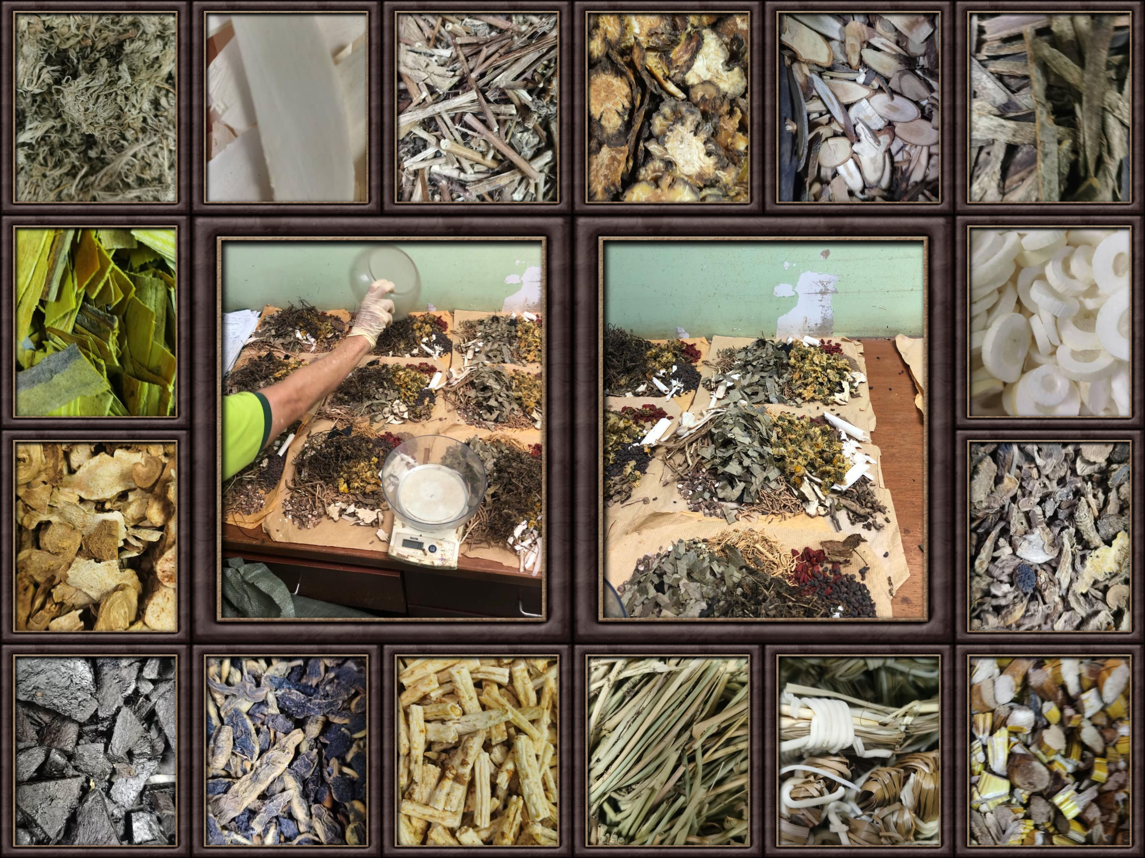 Tailor-made herbs for thoracolumbar health